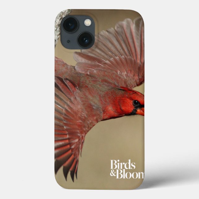 Northern Cardinal In Flight Case-Mate iPhone Case (Back)