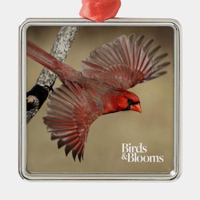 Northern Cardinal In Flight Metal Tree Decoration (Front)
