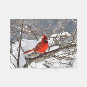 Northern cardinal in the snow fleece blanket