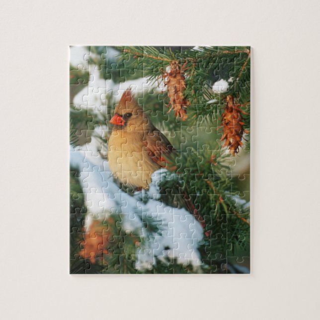 Northern Cardinal in tree, Illinois Jigsaw Puzzle (Vertical)