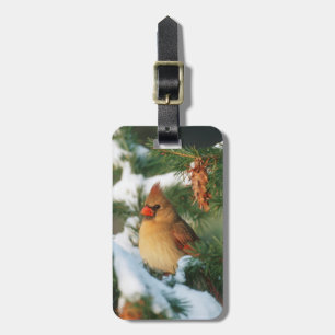 Northern Cardinal in tree, Illinois Luggage Tag