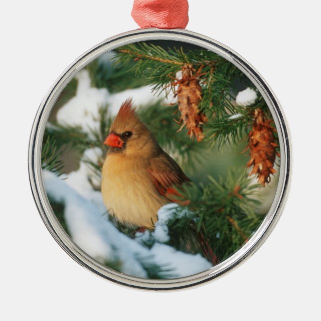 Northern Cardinal in tree, Illinois Metal Tree Decoration (Front)