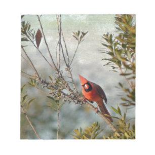 Northern Cardinal in Wax Myrtle Notepad