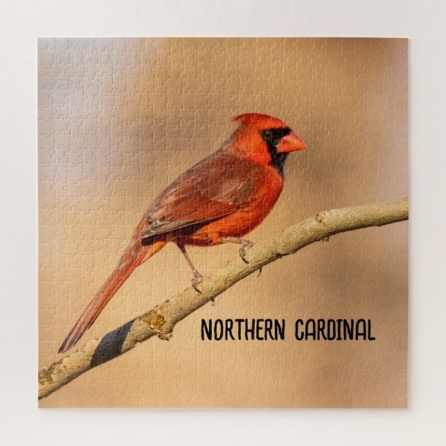 Northern Cardinal  Jigsaw Puzzle (Vertical)