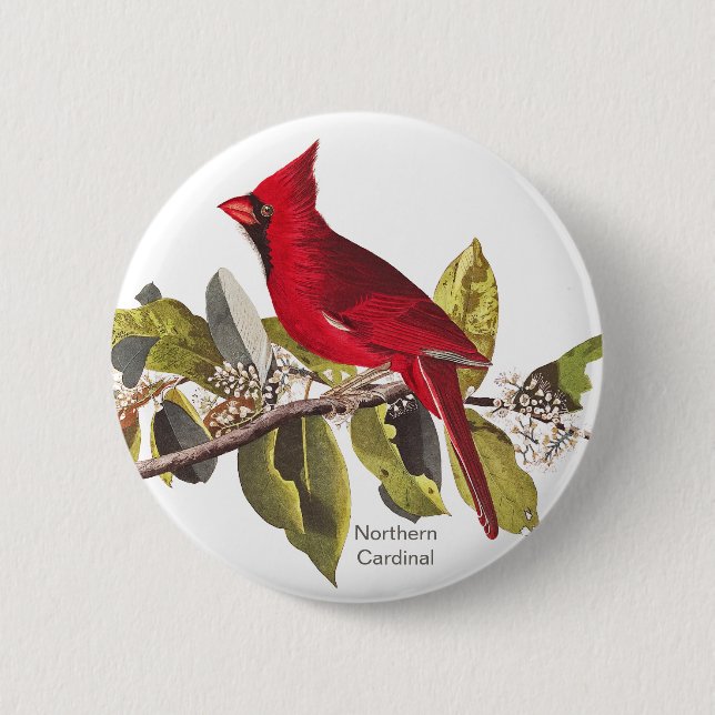Northern Cardinal, John James Audubon, Red Bird, 6 Cm Round Badge (Front)