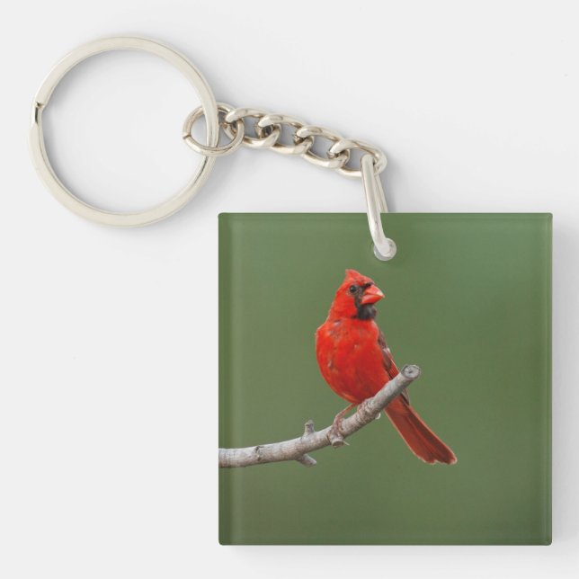 Northern Cardinal Key Ring (Front)