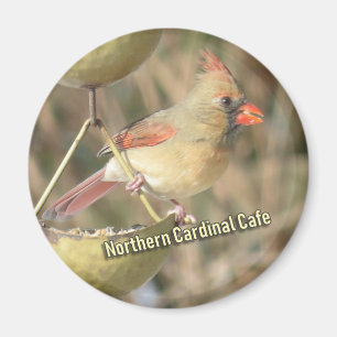 Northern Cardinal magnet