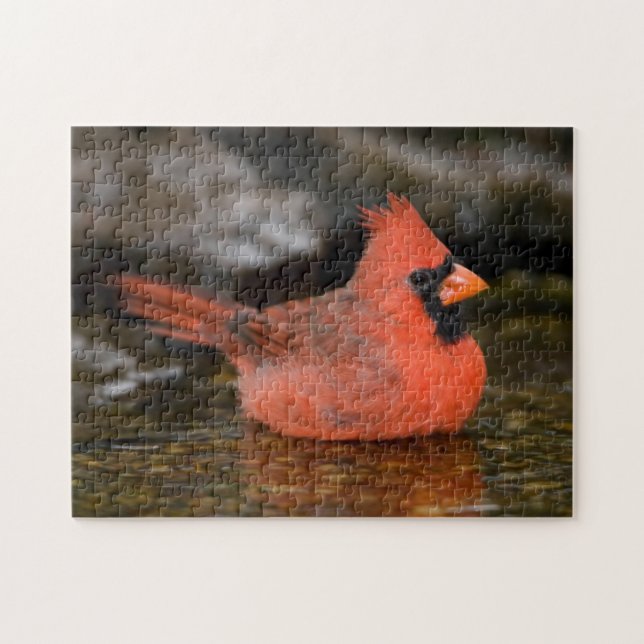 Northern Cardinal male bathing Jigsaw Puzzle (Horizontal)