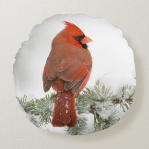 Northern Cardinal male on Blue Atlas Cedar Round Cushion