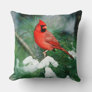 Northern Cardinal male on tree, IL Cushion