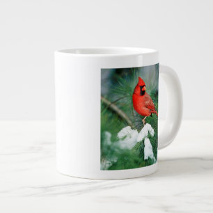 Northern Cardinal male on tree, IL Large Coffee Mug