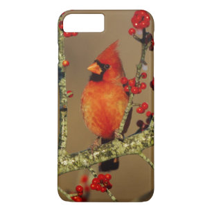 Northern Cardinal male perched, IL Case-Mate iPhone Case