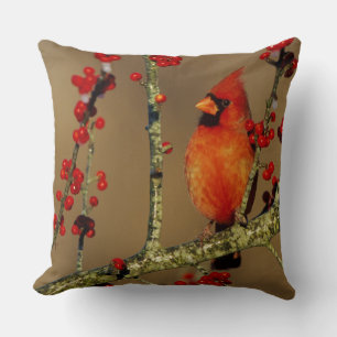 Northern Cardinal male perched, IL Cushion