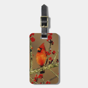 Northern Cardinal male perched, IL Luggage Tag
