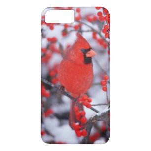 Northern Cardinal male, Winter, IL Case-Mate iPhone Case