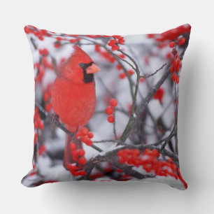 Northern Cardinal male, Winter, IL Cushion