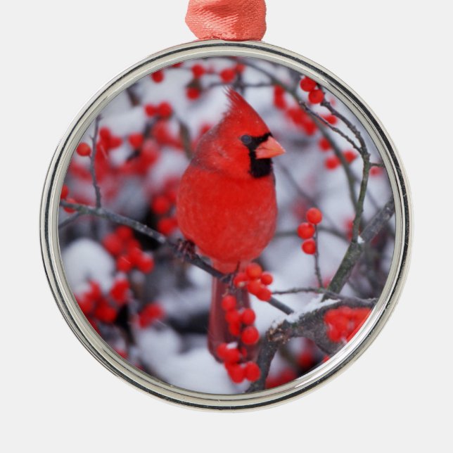 Northern Cardinal male, Winter, IL Metal Tree Decoration (Front)