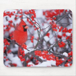 Northern Cardinal male, Winter, IL Mouse Pad