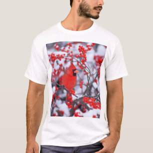 Northern Cardinal male, Winter, IL T-Shirt