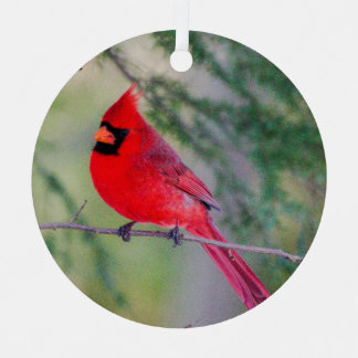 Northern Cardinal Metal Ornament