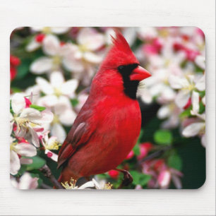 Northern Cardinal Mouse Pad