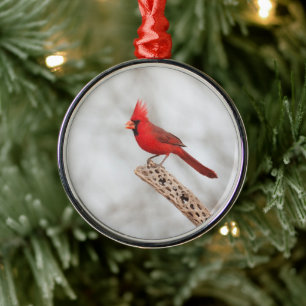 Northern Cardinal on a branch Metal Tree Decoration