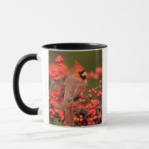 Northern Cardinal on Common Winterberry Mug