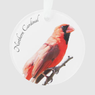 Northern Cardinal Ornament