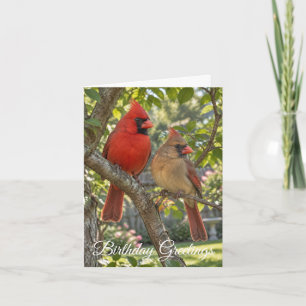 Northern Cardinal Pair Birthday Card