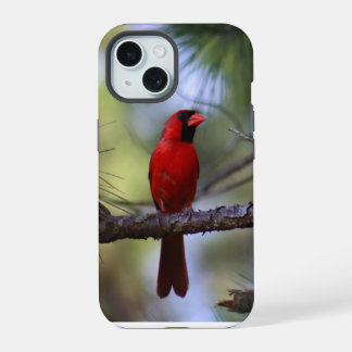 Northern Cardinal Phone Case