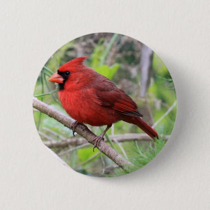 Northern Cardinal Photo 6 Cm Round Badge