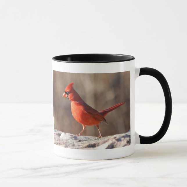 Northern Cardinal picture and information - mug (Right)