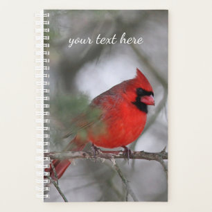 Northern cardinal planner