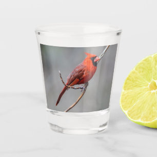 Northern Cardinal Shot Glass