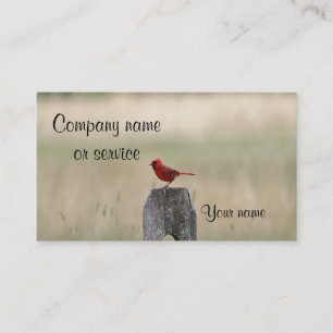 Northern cardinal standing on a fence post business card