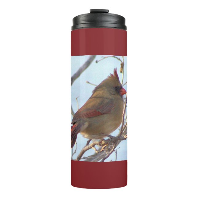 Northern Cardinal  Thermal Tumbler (Front)
