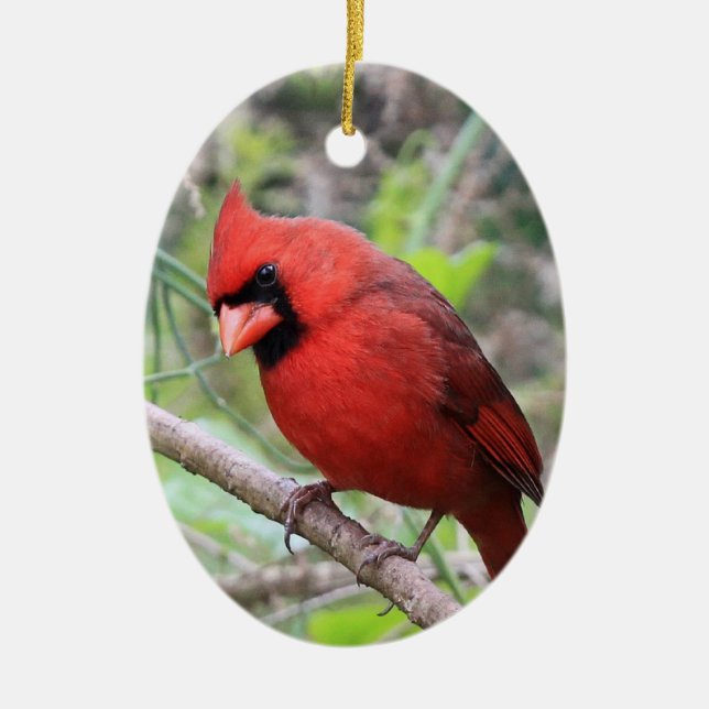 Northern Cardinal -- Traditional Christmas Bird Ceramic Tree Decoration (Front)