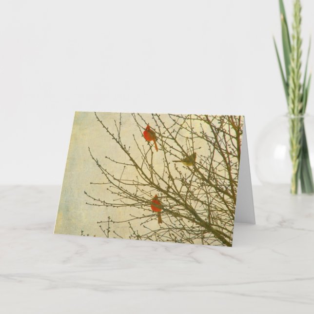 Northern Cardinals in a Tree Card (Front)