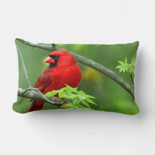 Northern cardinals lumbar cushion