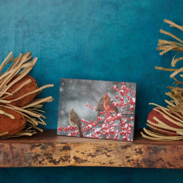 Northern Cardinals | Marion, Illinois Plaque (Side)