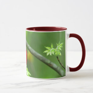 Northern cardinals mug