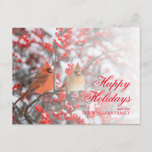 Northern Cardinals on Common Winterberry in snow Holiday Postcard