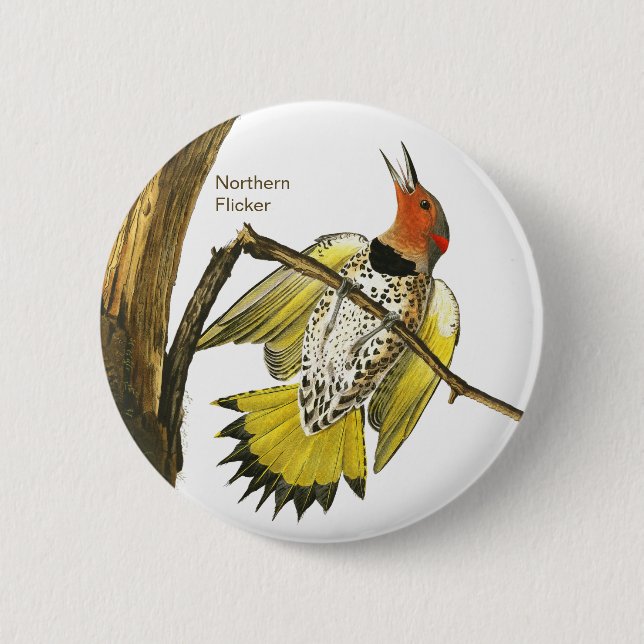 Northern Flicker, Audubon, Birdwatcher Accessory, 6 Cm Round Badge (Front)