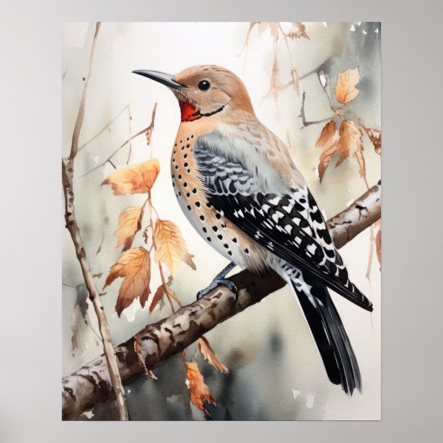 Northern Flicker Bird Art Print Poster (Front)
