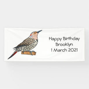 Northern flicker bird cartoon illustration banner