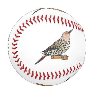 Northern flicker bird cartoon illustration baseball
