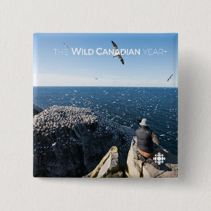 Northern Gannets 15 Cm Square Badge