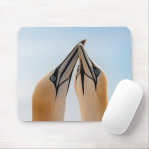 Northern Gannets Heligoland Germany Morus Gel Mous Mouse Pad