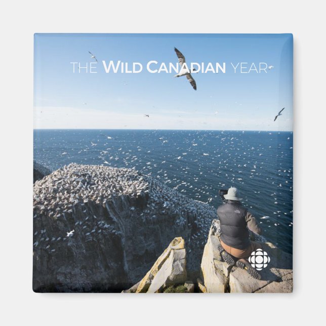 Northern Gannets Magnet (Front)