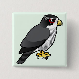 Northern Goshawk 15 Cm Square Badge